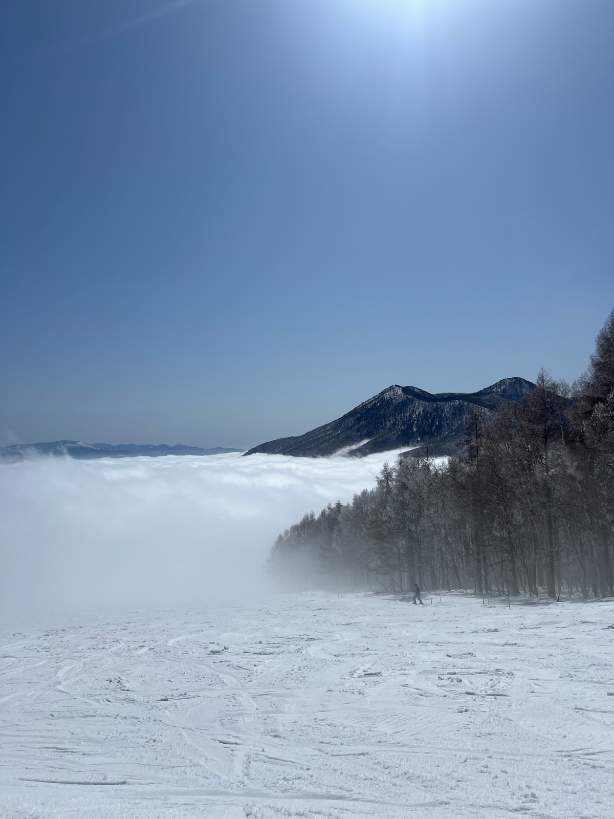 妙高杉ノ原スキー場