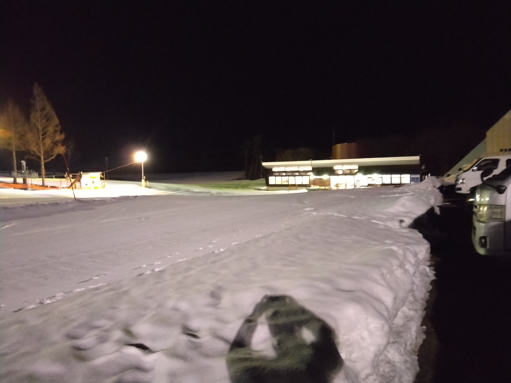 創遊村229スキーランドスキー場