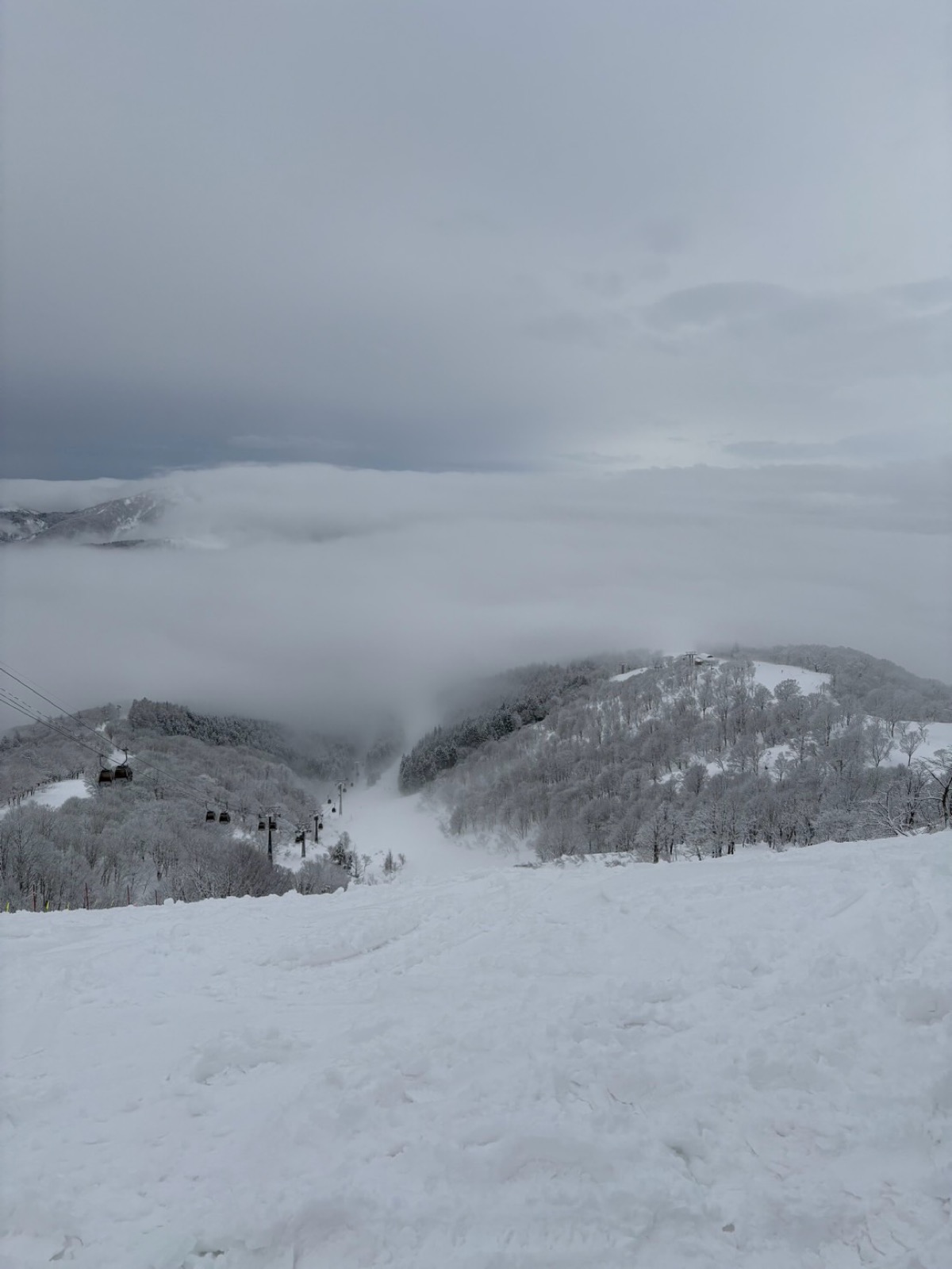 ウイングヒルズ白鳥リゾート 
