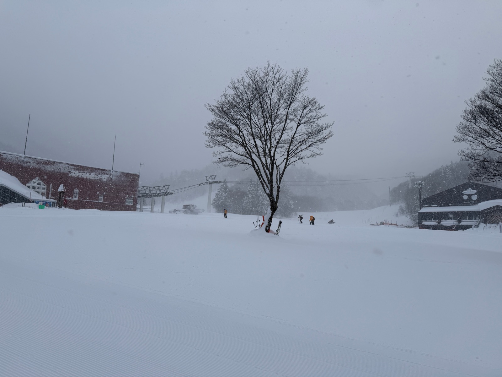 札幌国際スキー場