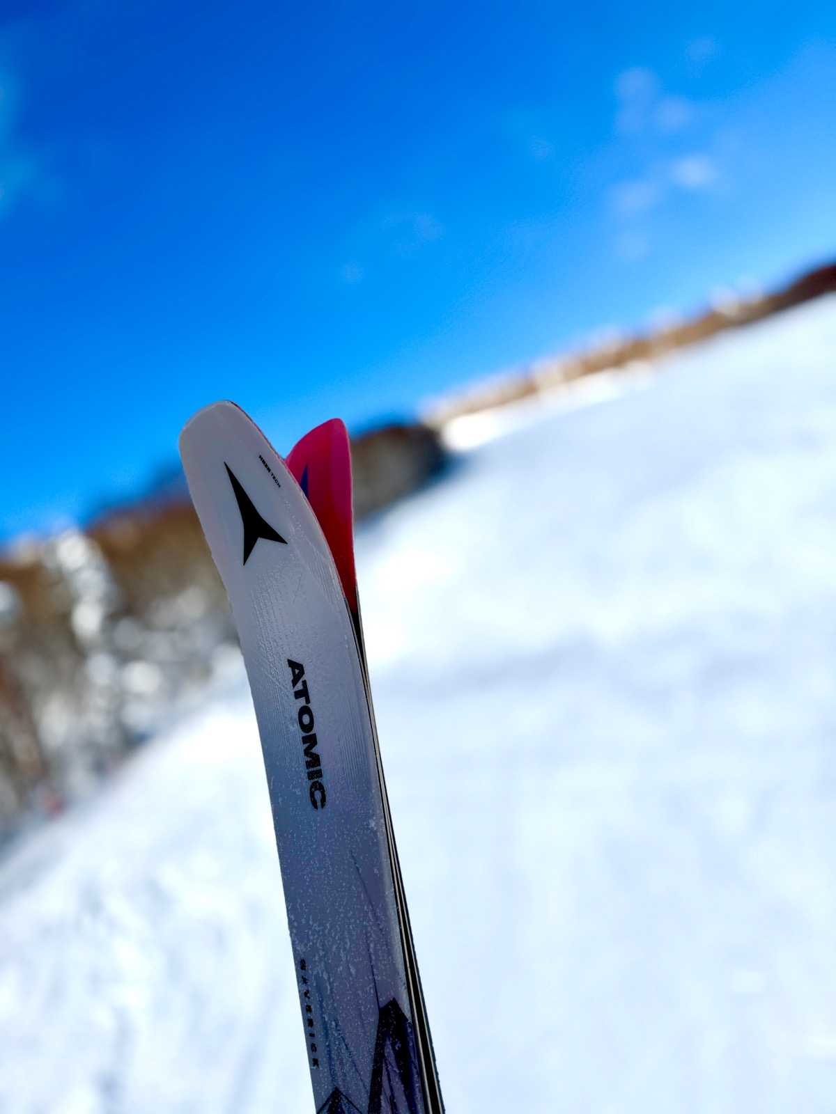 札幌国際スキー場