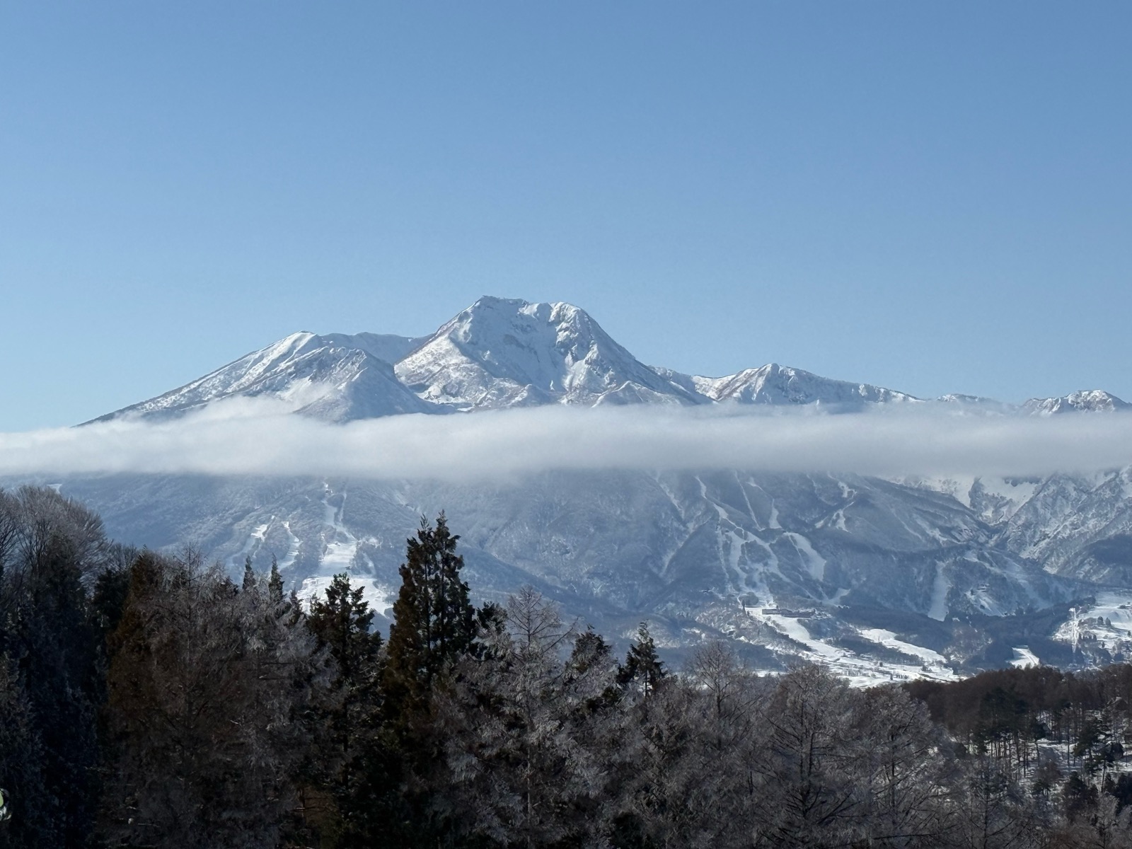 タングラムスキーサーカス
