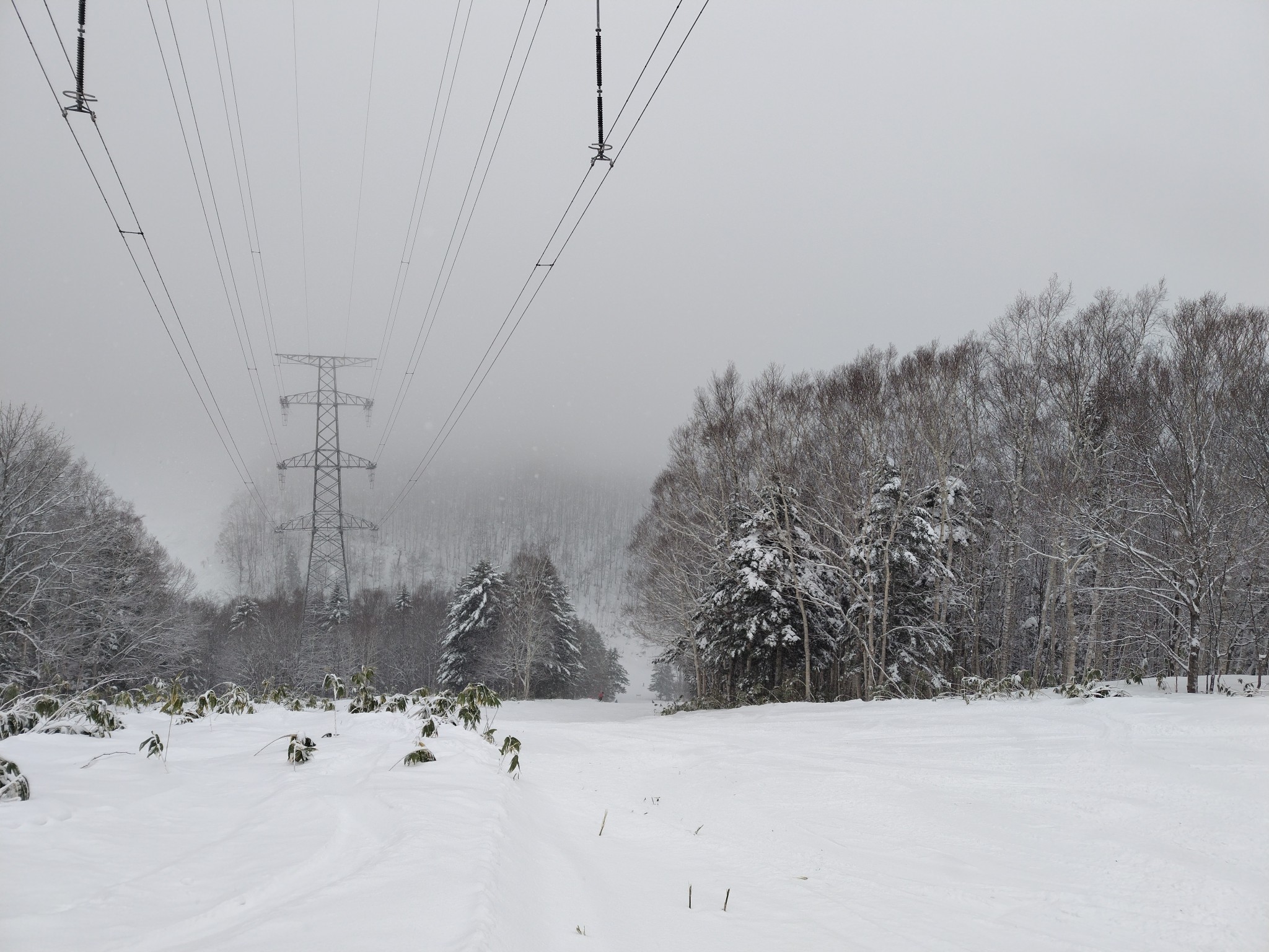 ルスツリゾート