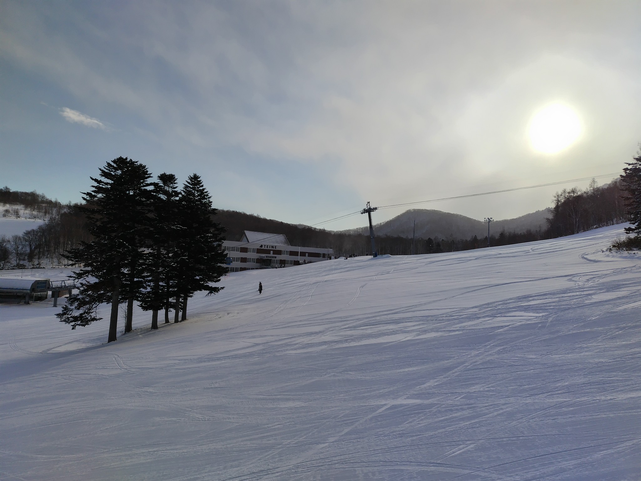 サッポロテイネ