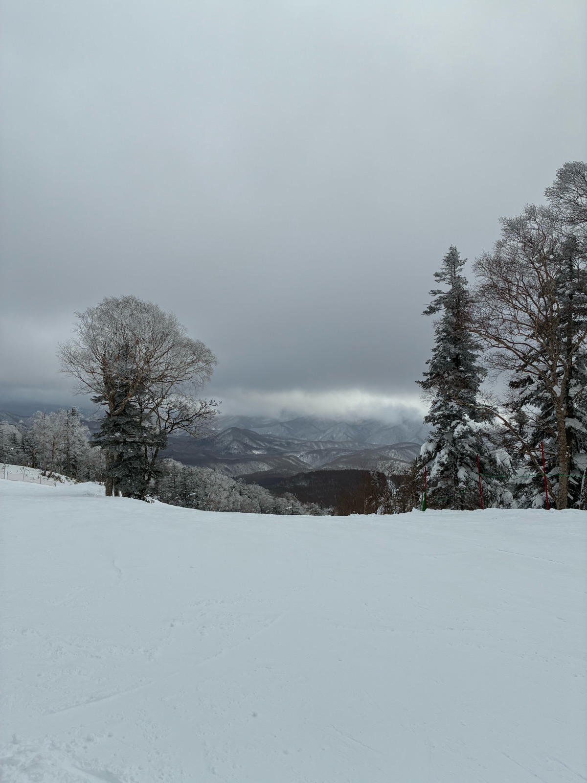 グランデコスノーリゾート