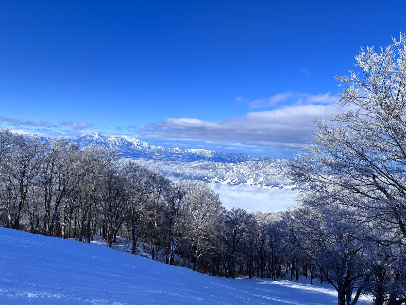 野沢温泉スキー場