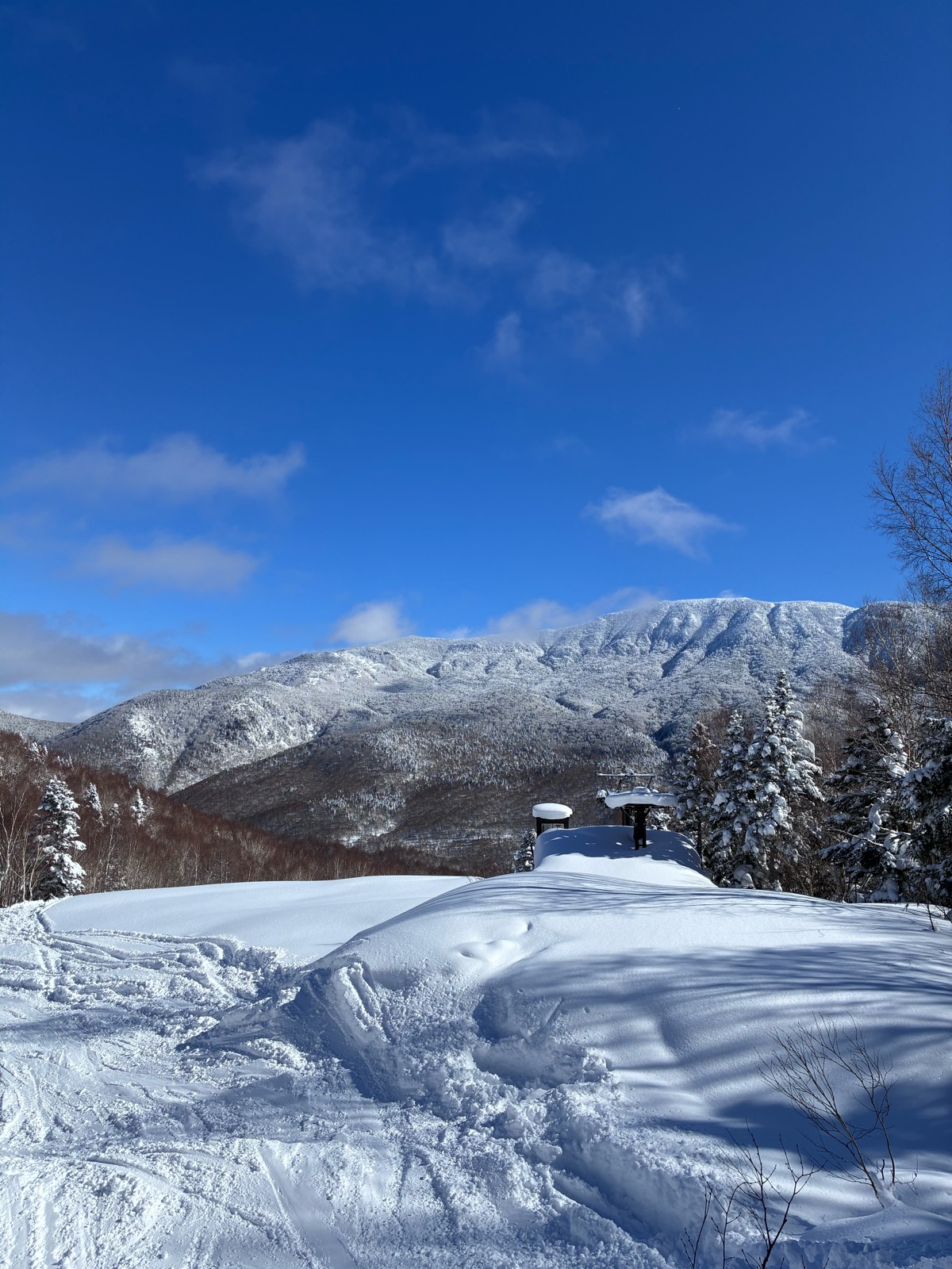 志賀高原 焼額山