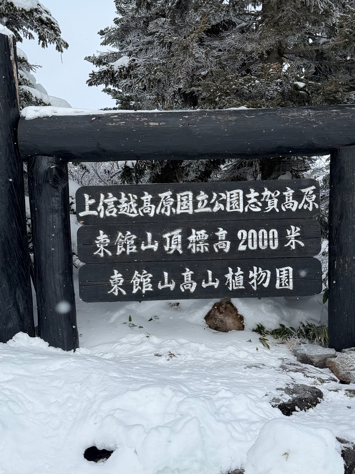 志賀高原 ジャイアント、西館山スキー場