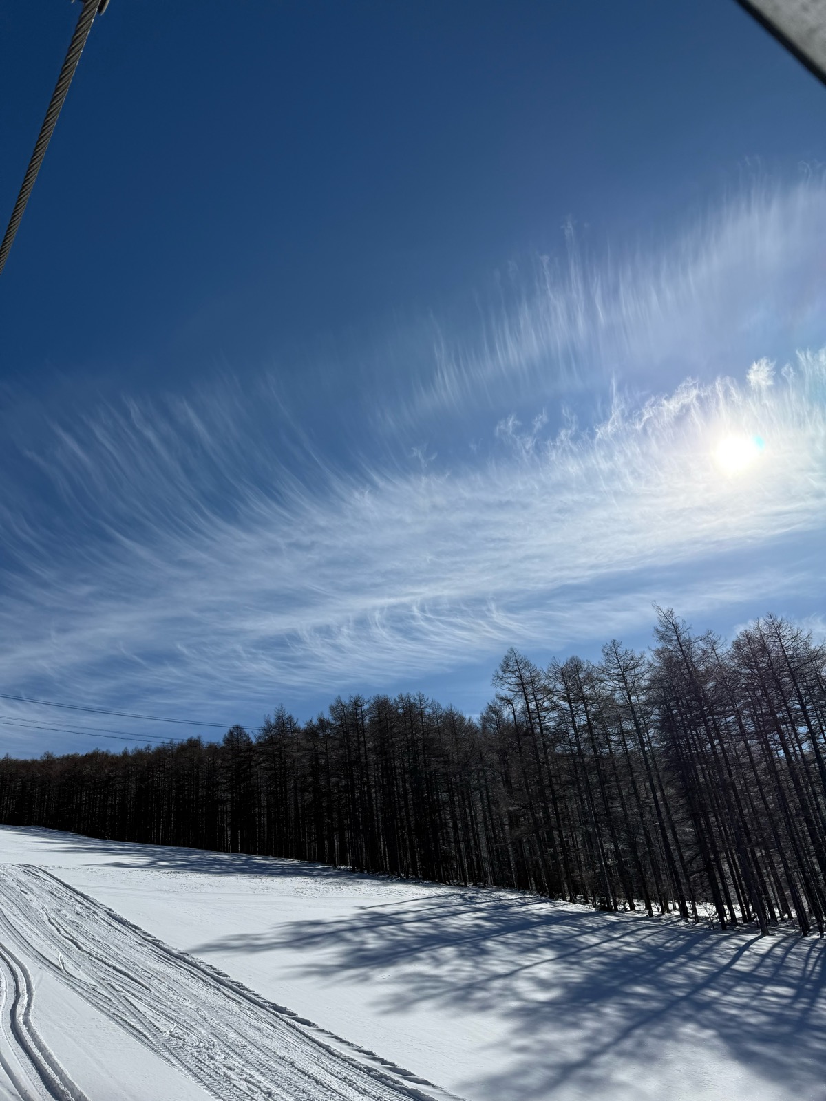 湯の丸スキー場
