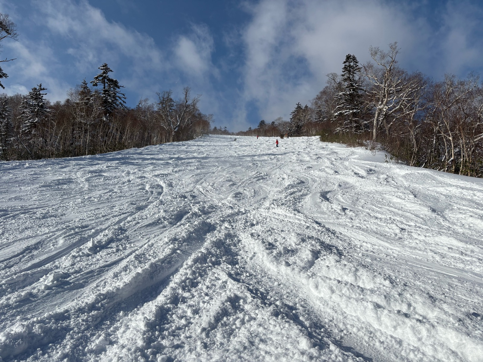 札幌国際スキー場