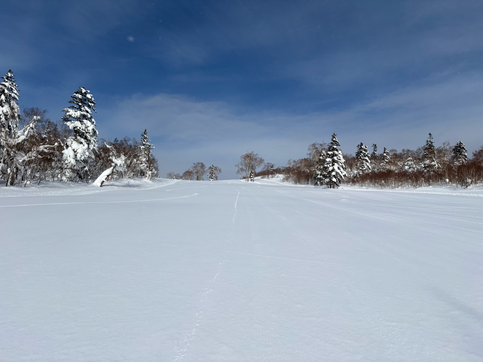 札幌国際スキー場
