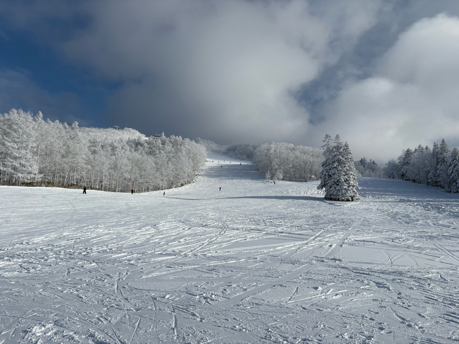 カムイスキーリンクス