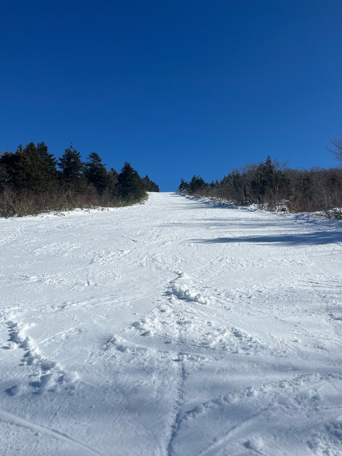 蔵王ライザワールドスキー場