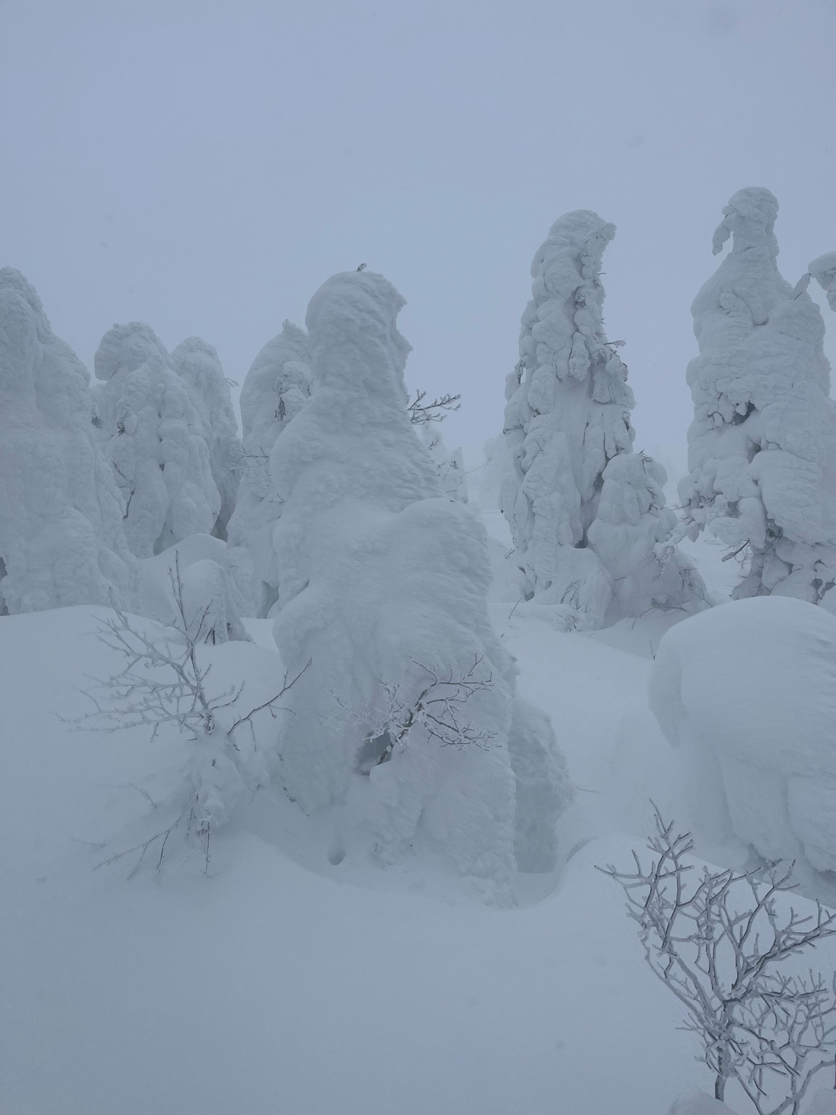 蔵王温泉スキー場