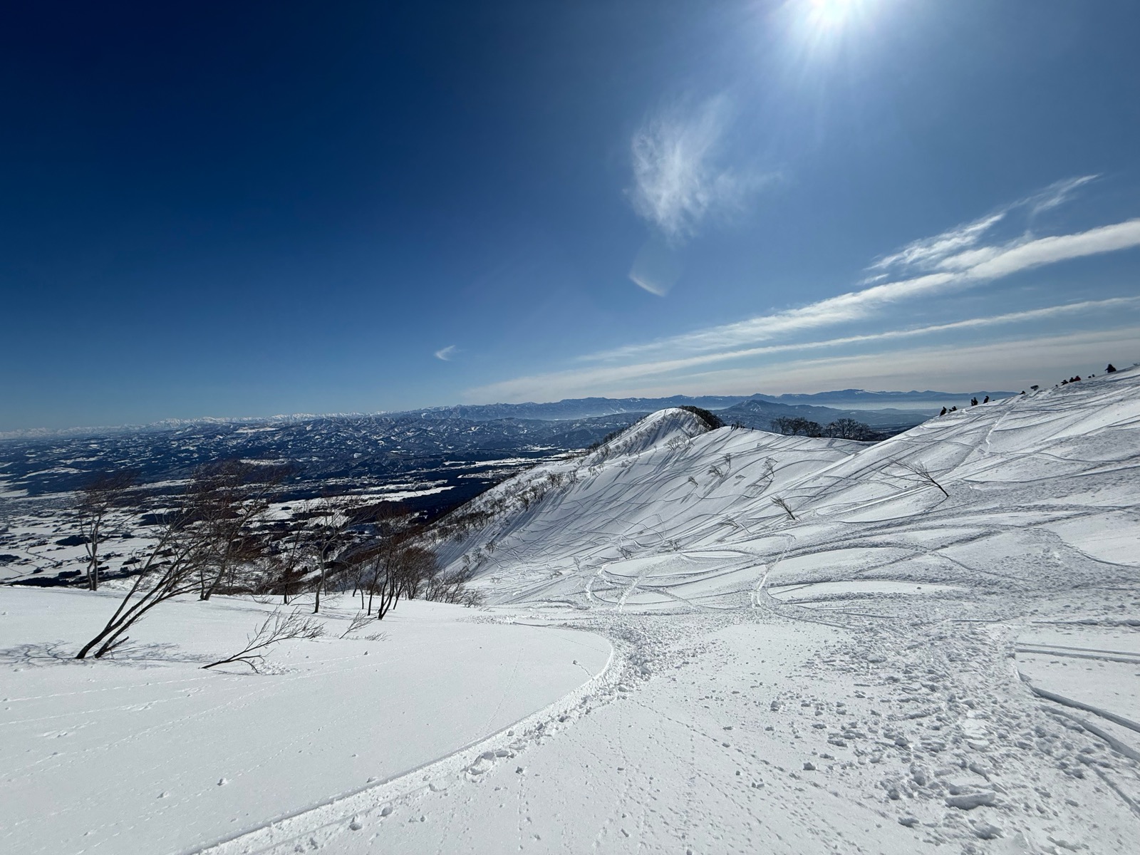ロッテ アライリゾート