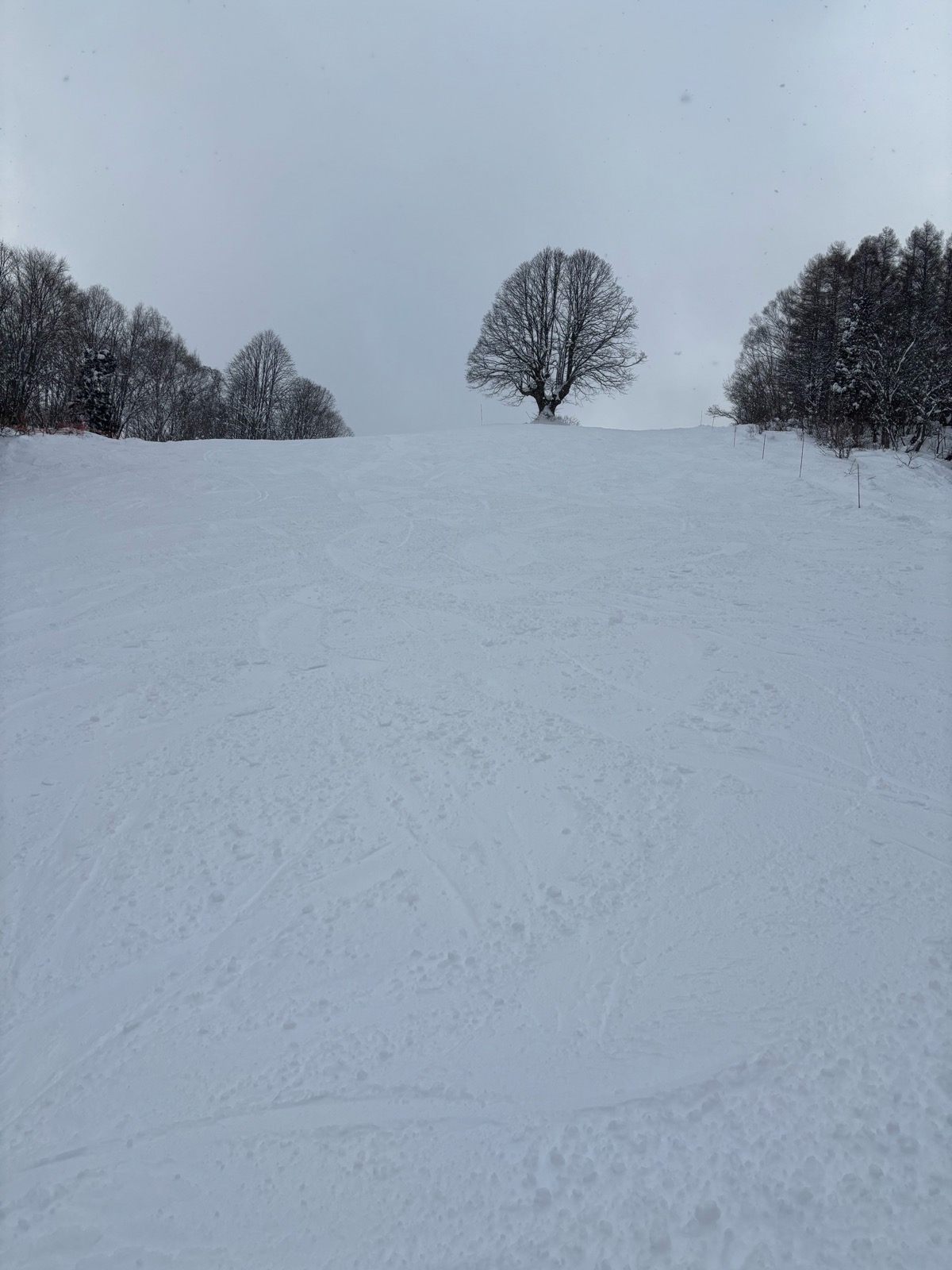妙高杉ノ原スキー場