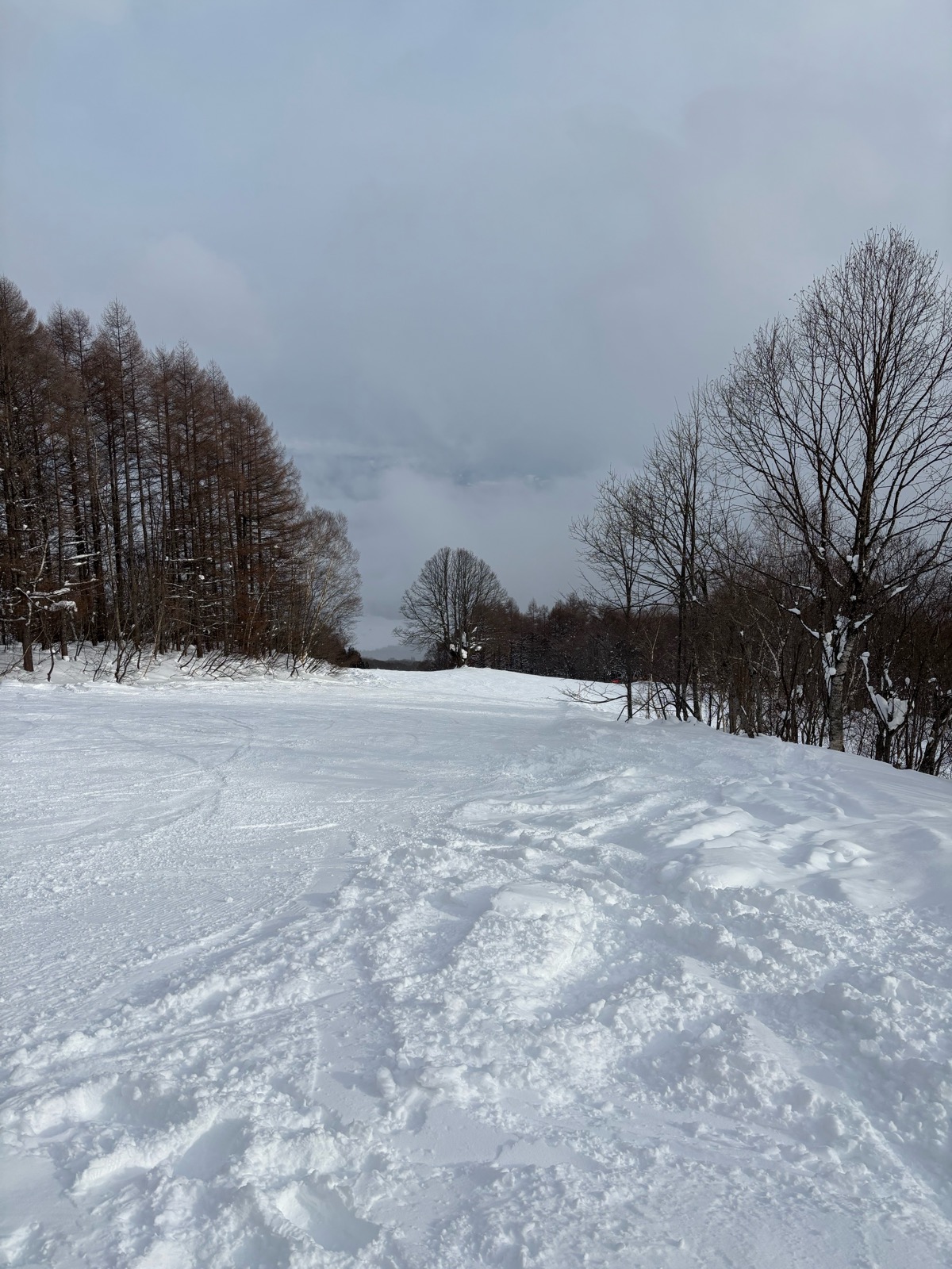妙高杉ノ原スキー場