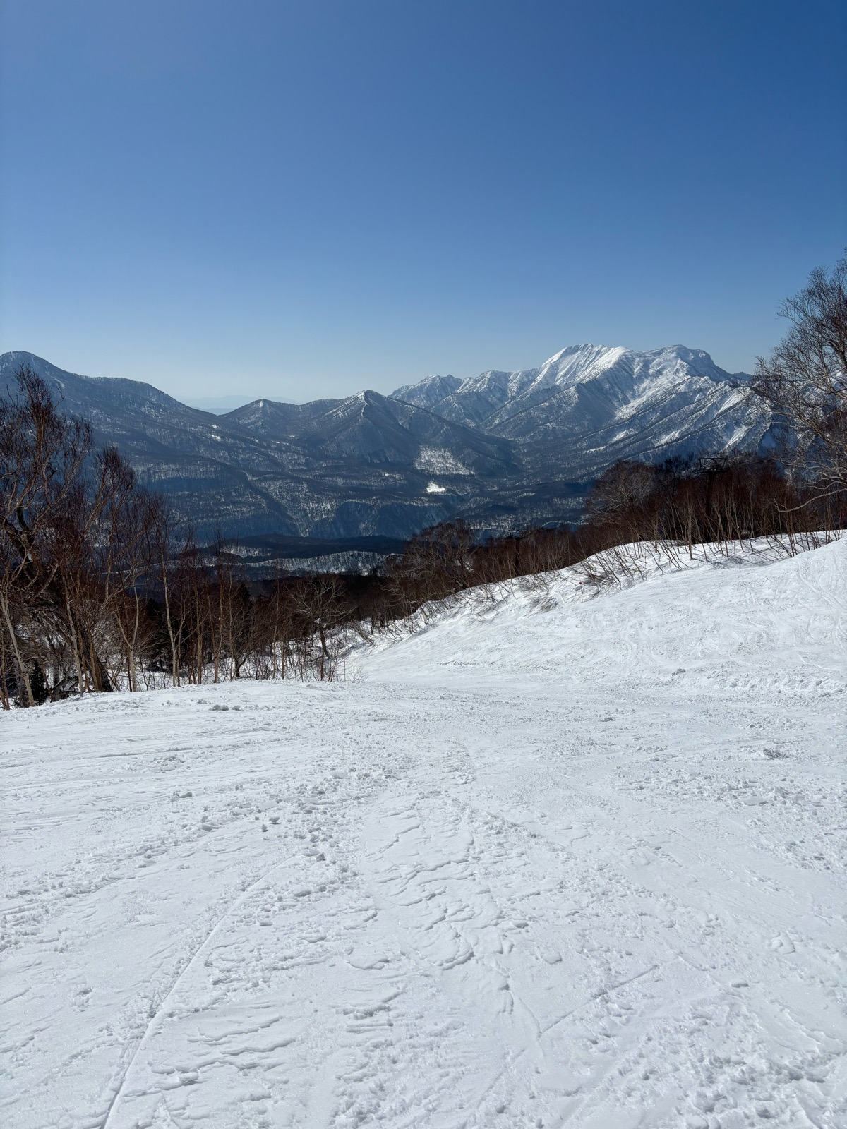 妙高杉ノ原スキー場