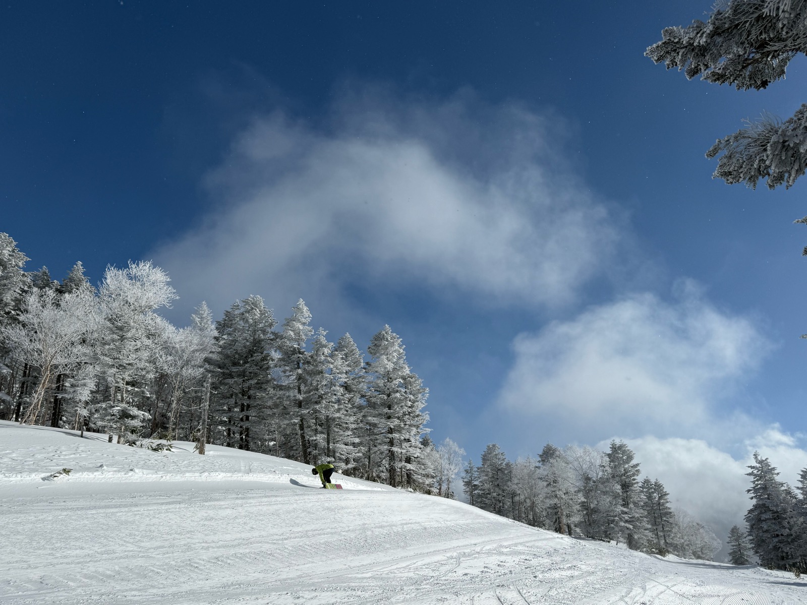 志賀高原 焼額山