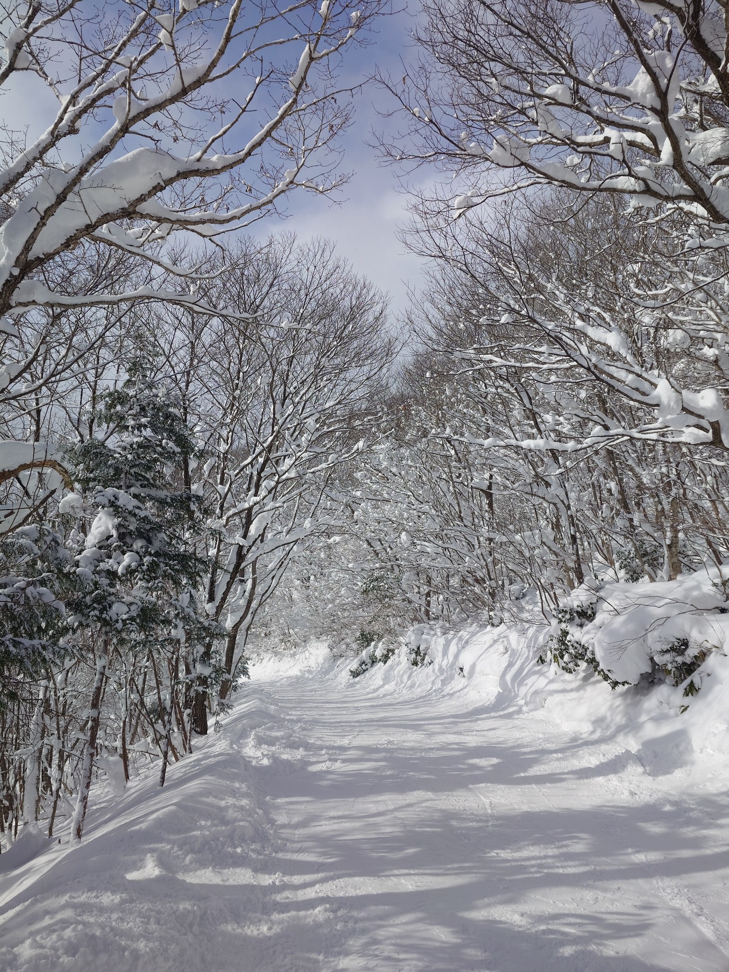 女鹿平温泉めがひらスキー場