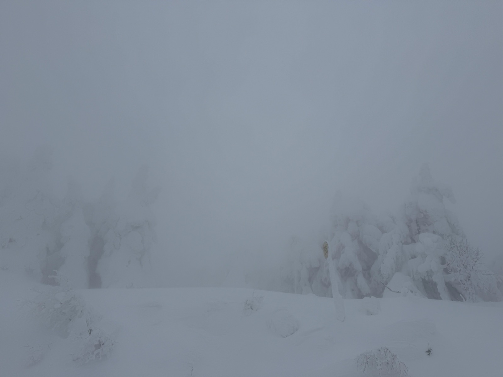 蔵王温泉スキー場