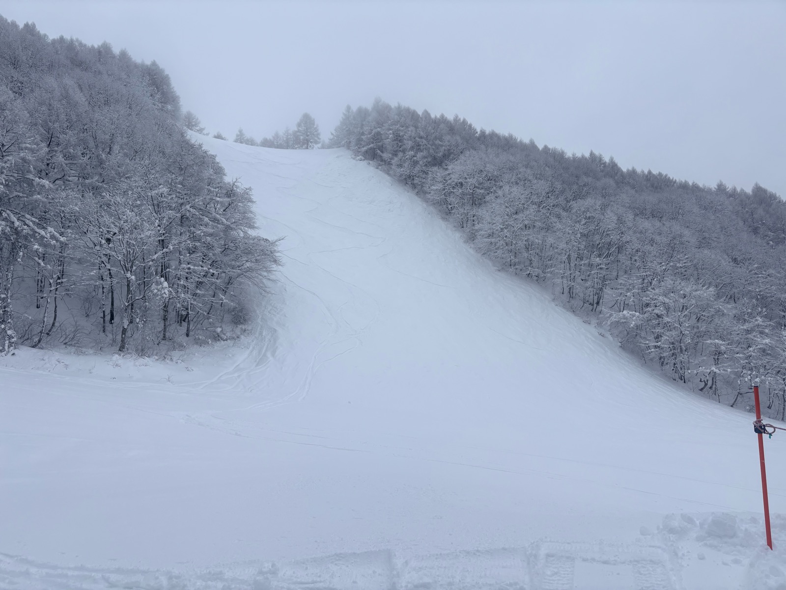 蔵王温泉スキー場