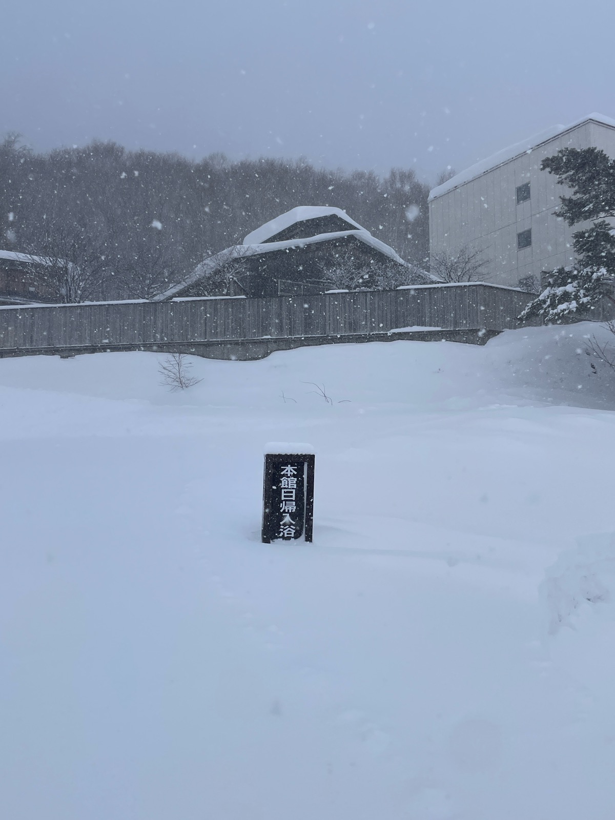 網張温泉スキー場