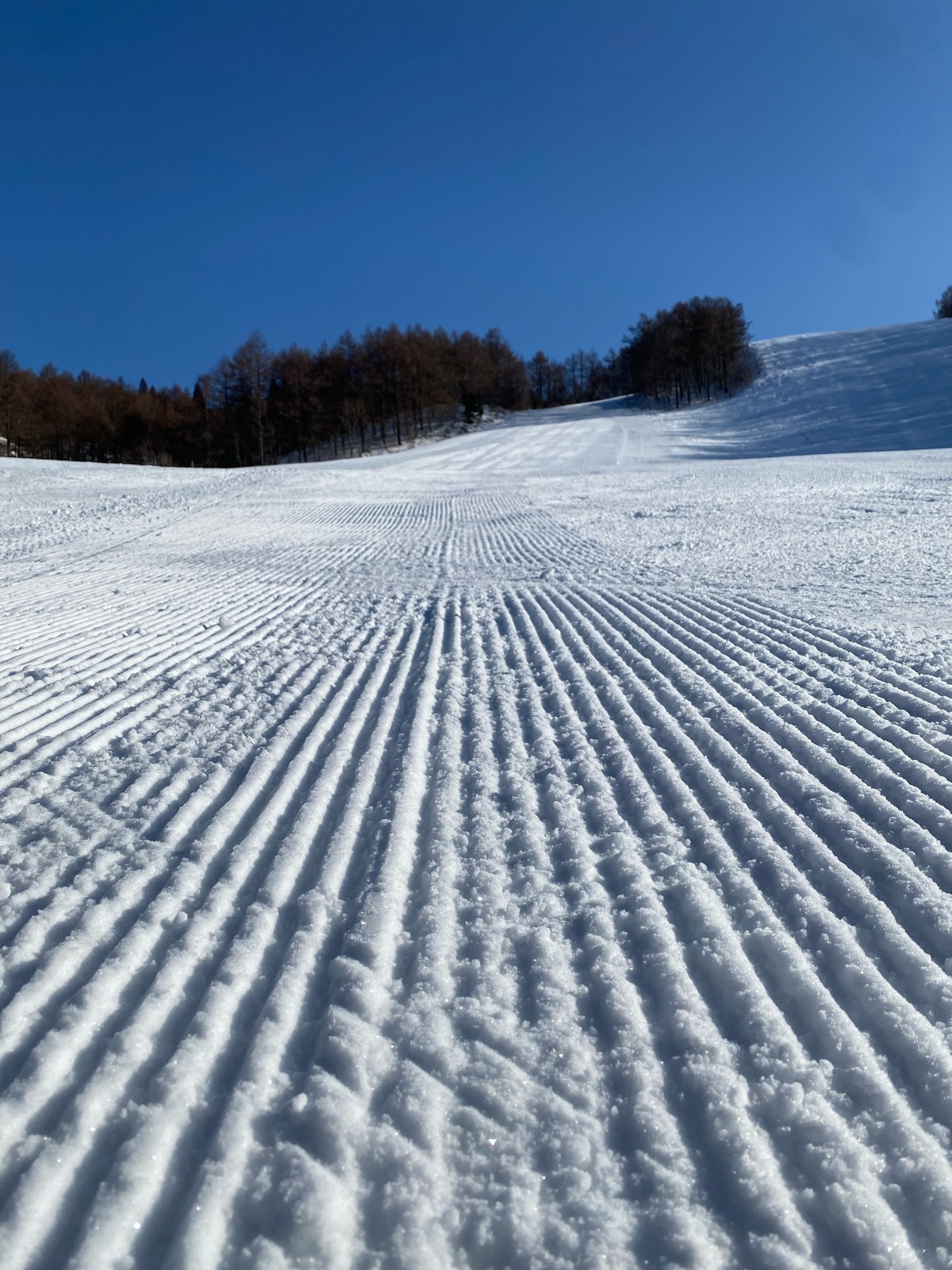 蔵王温泉スキー場