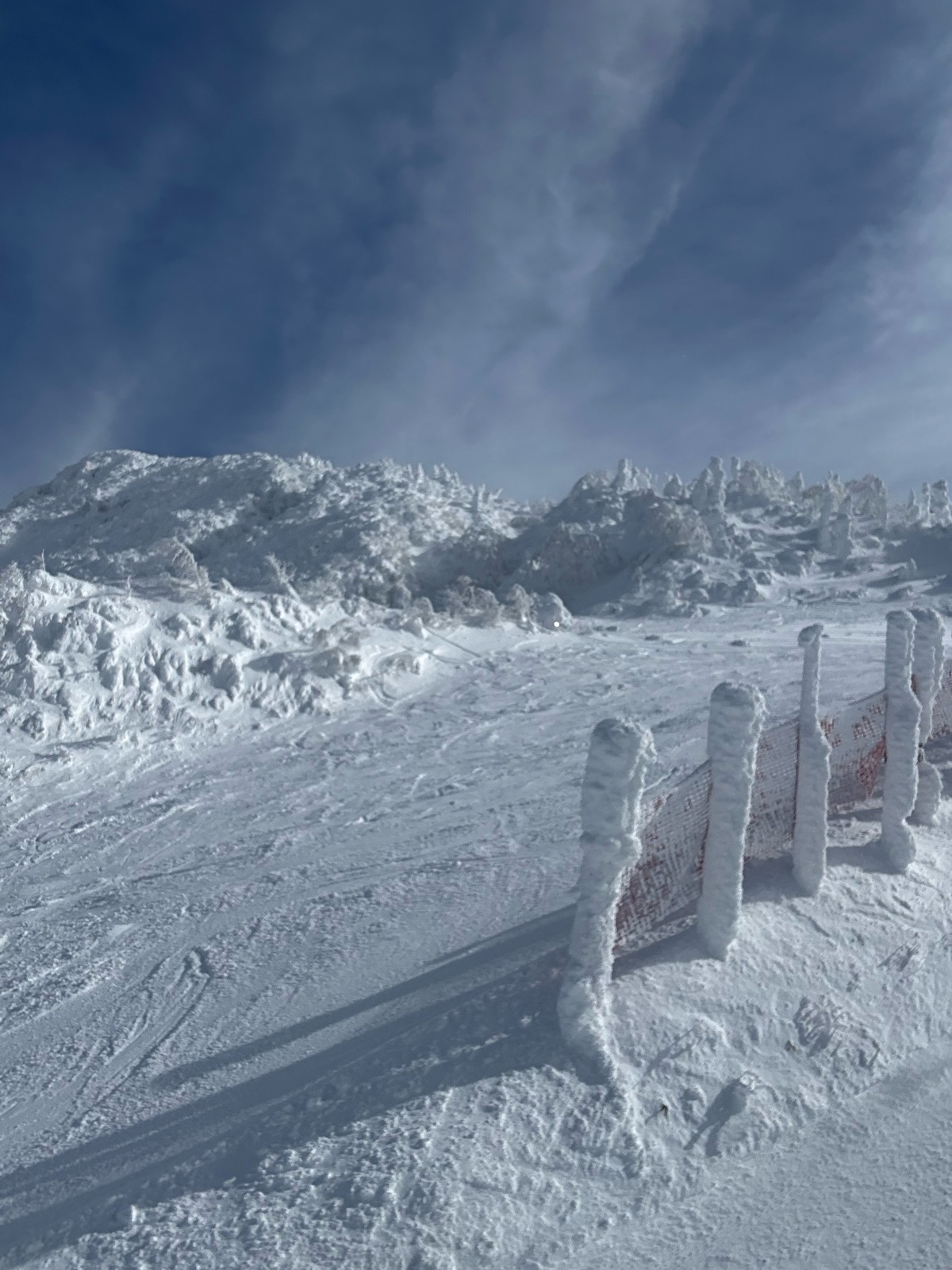 蔵王温泉スキー場