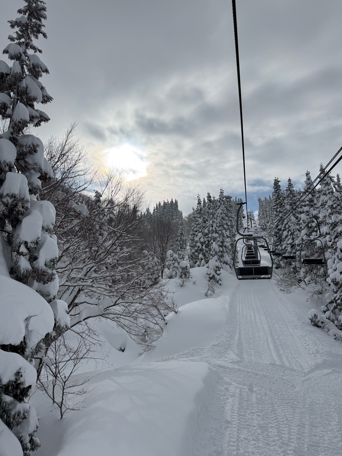上越国際スキー場