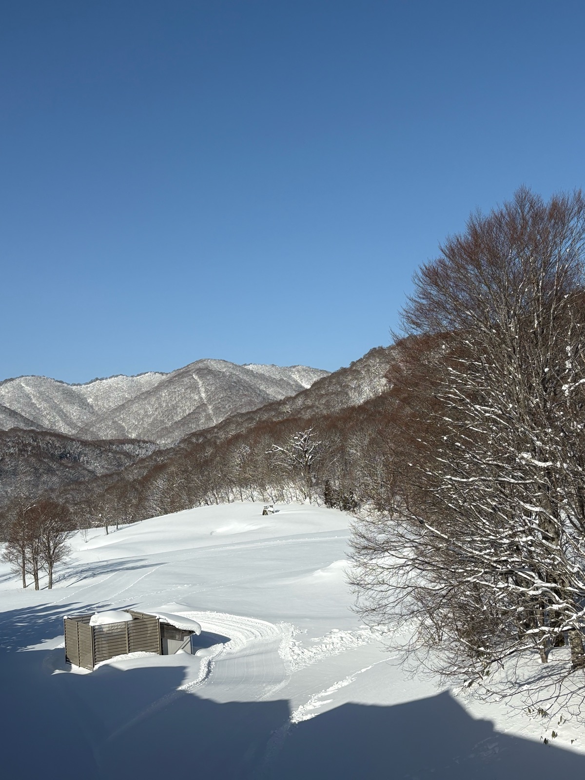 グランデコスノーリゾート