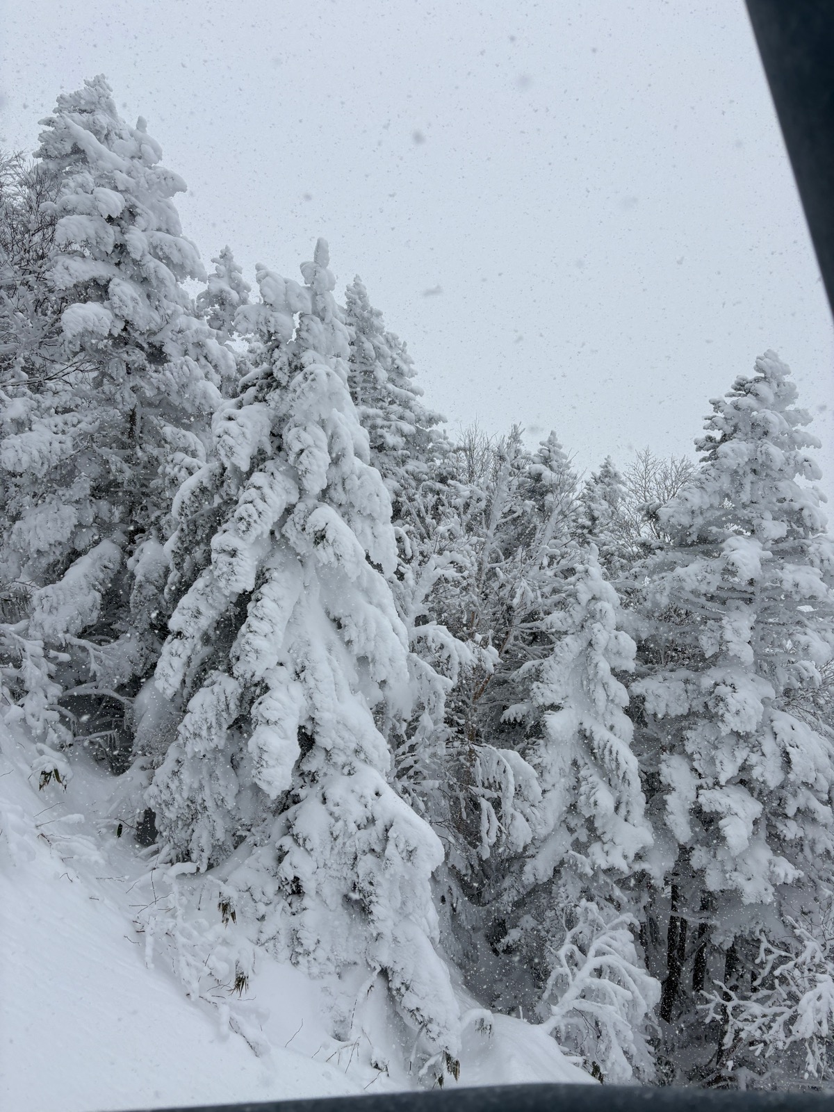 志賀高原 横手山・渋峠