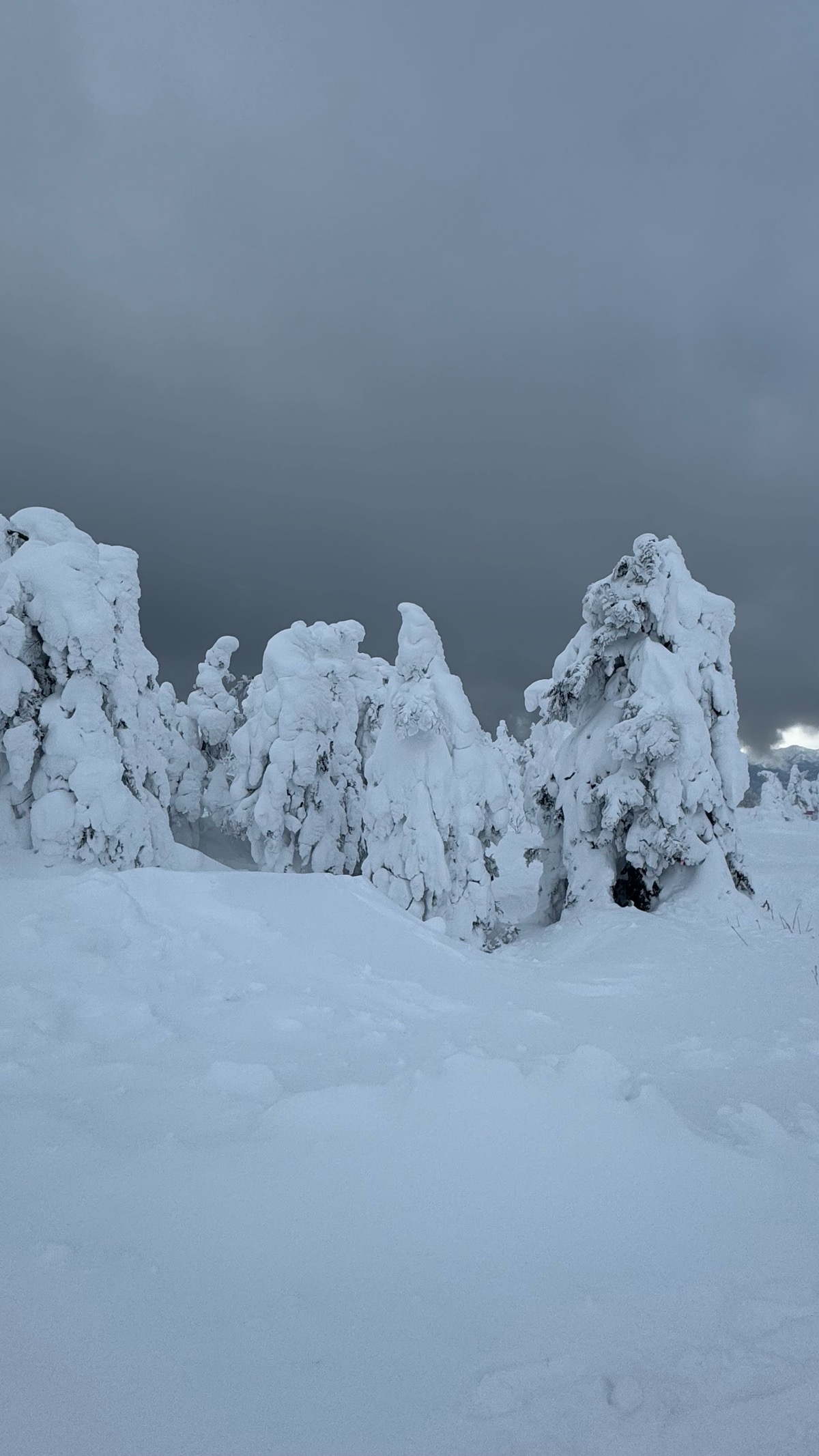 蔵王ライザワールド