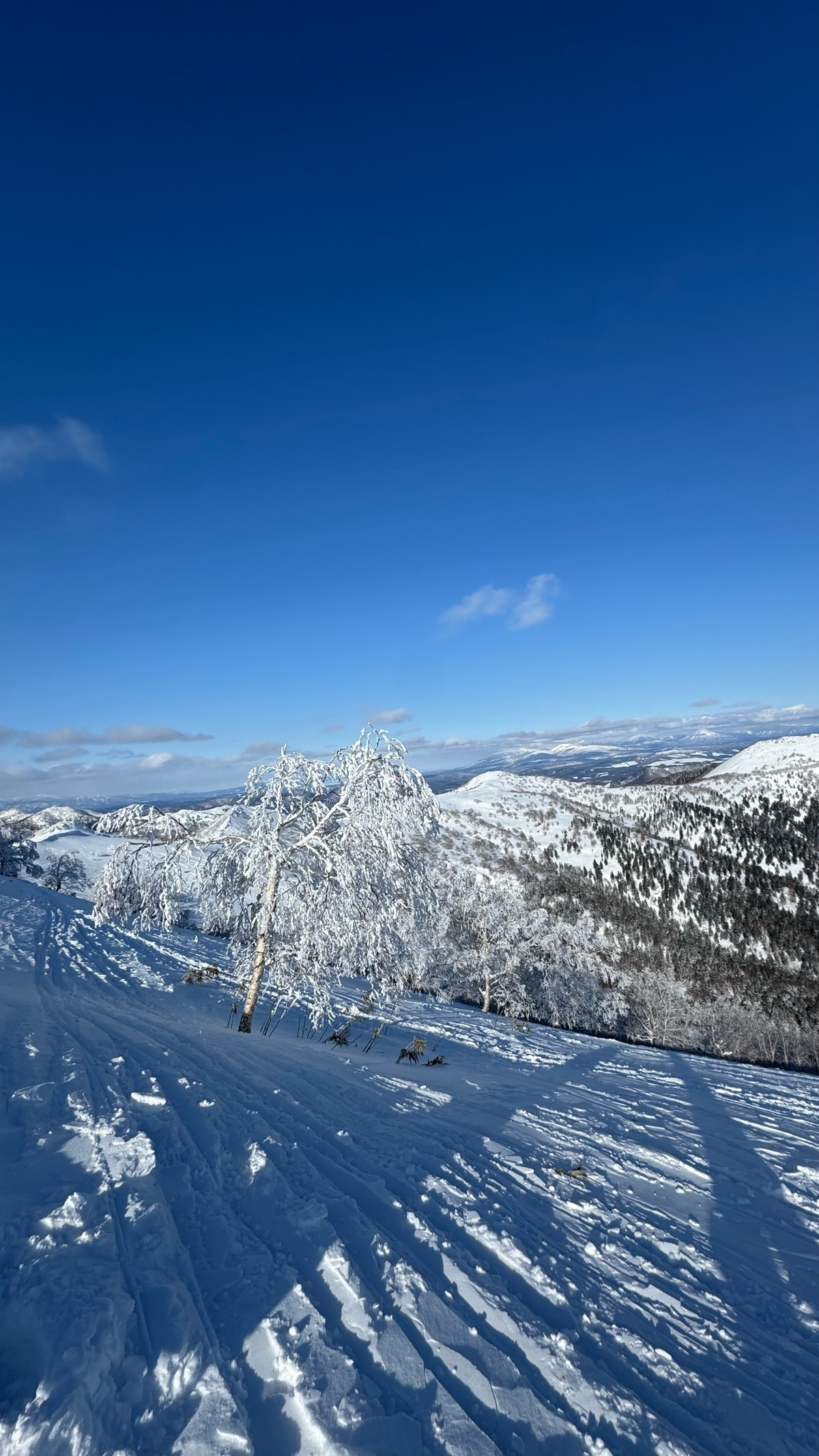 星野リゾート トマム