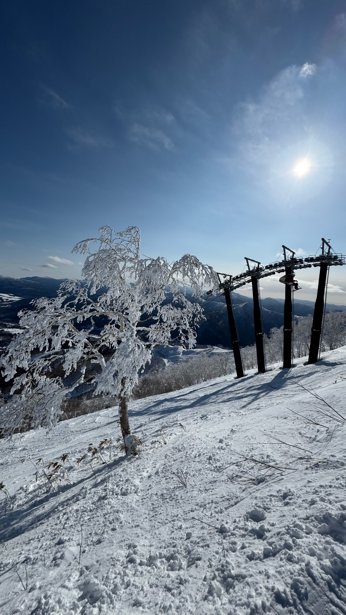 星野リゾート トマム