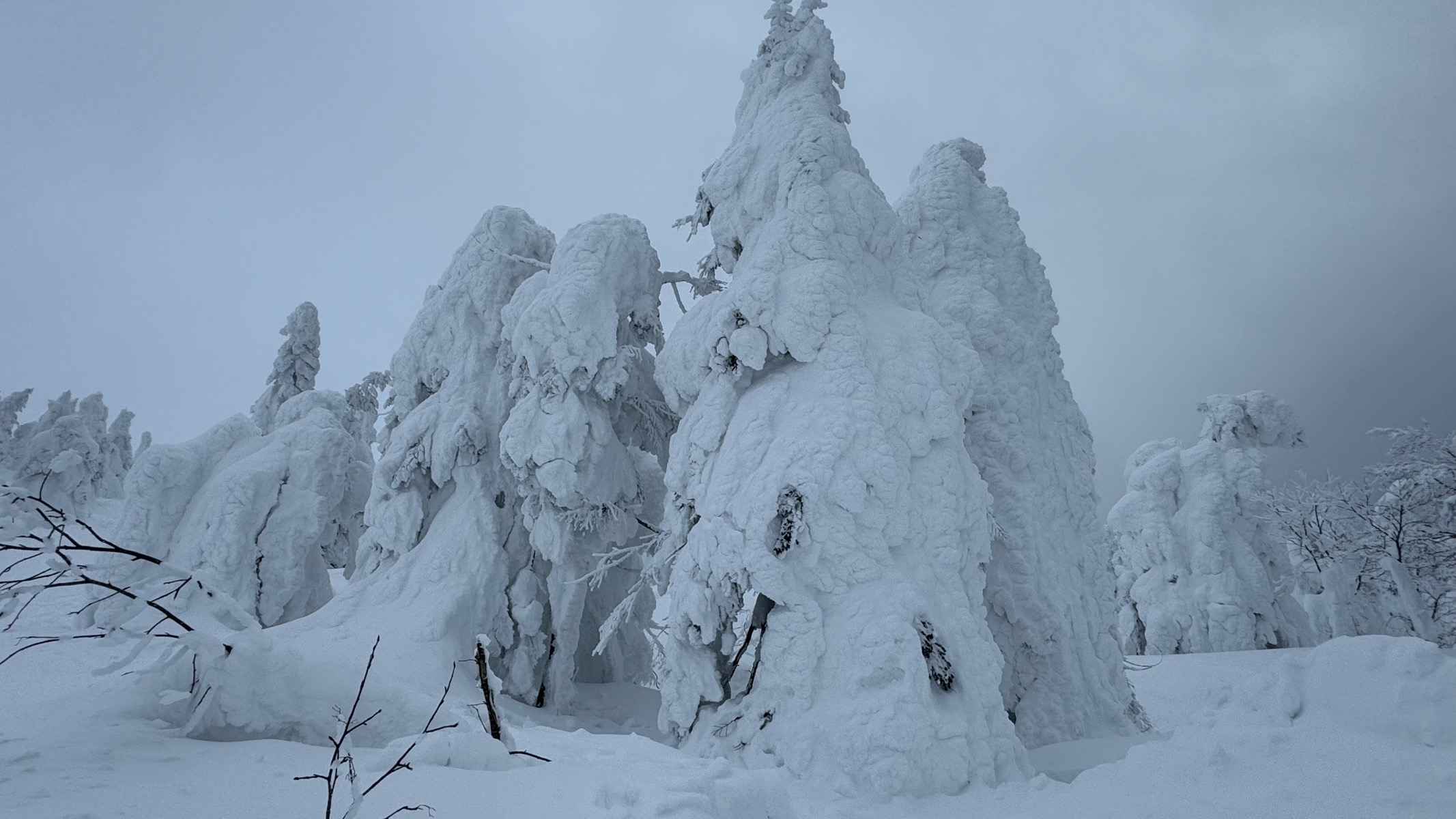 蔵王ライザワールドスキー場