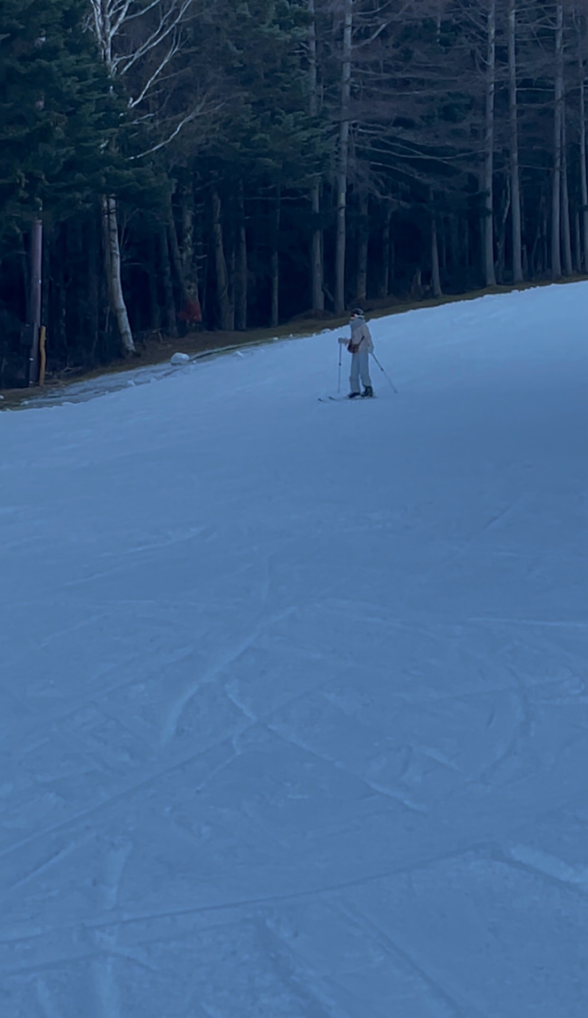 ふじてんスノーリゾート