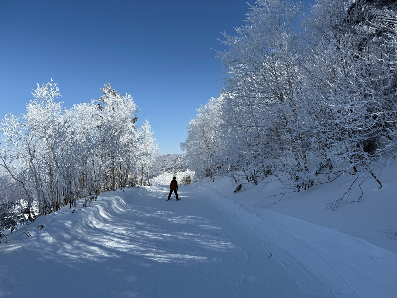 志賀高原 寺小屋、高天ヶ原、一の瀬