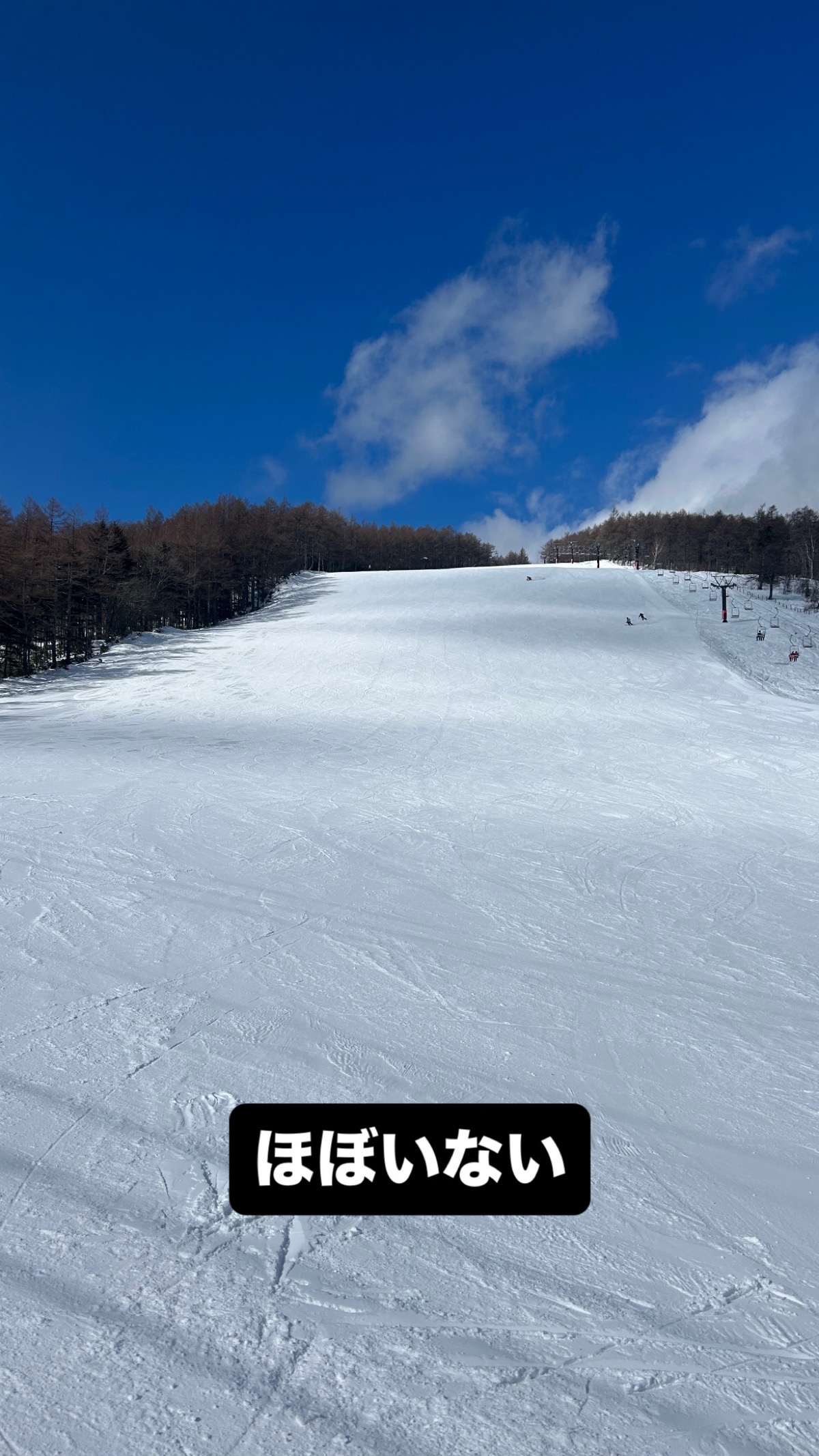 湯の丸スキー場