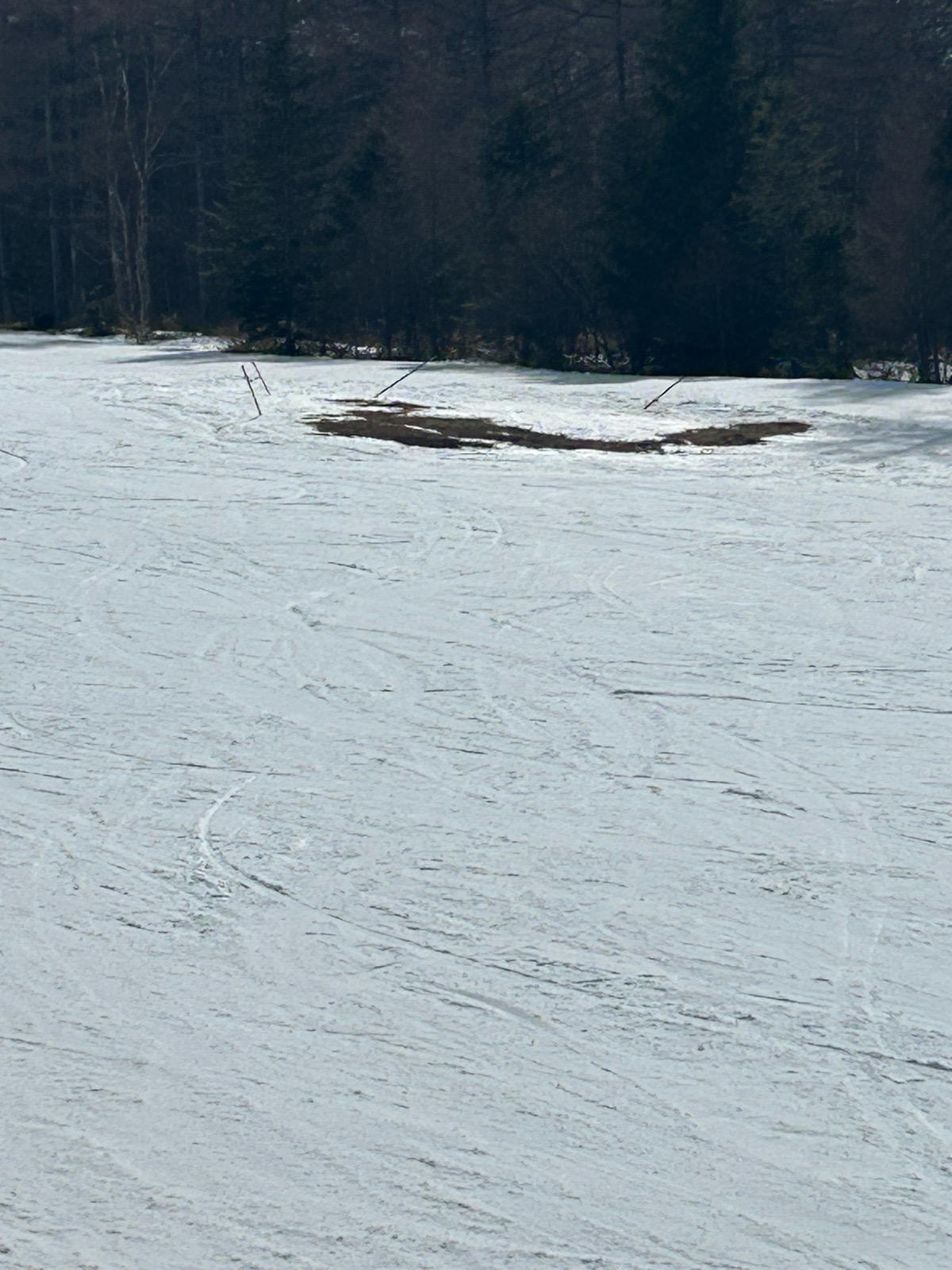 湯の丸スキー場