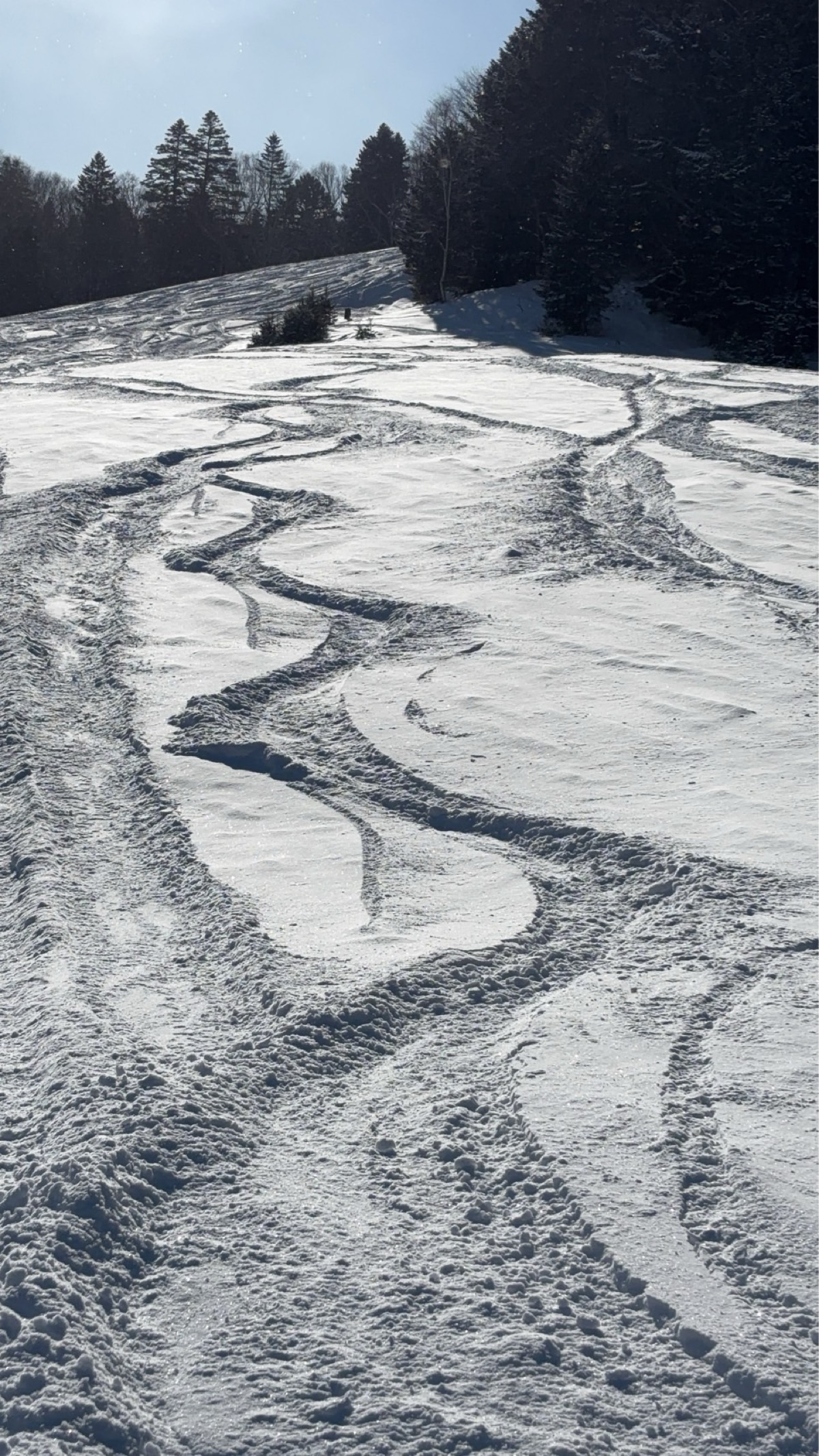 国設阿寒湖畔スキー場