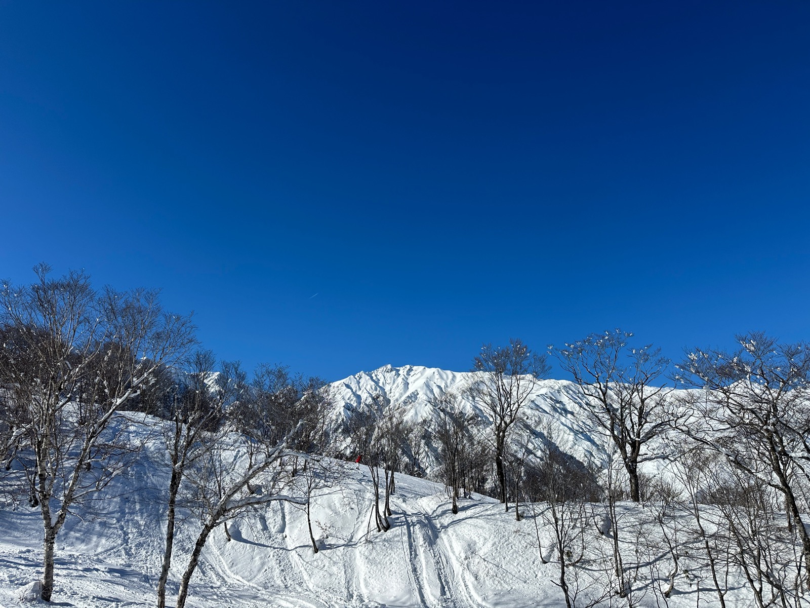 エイブル白馬五竜