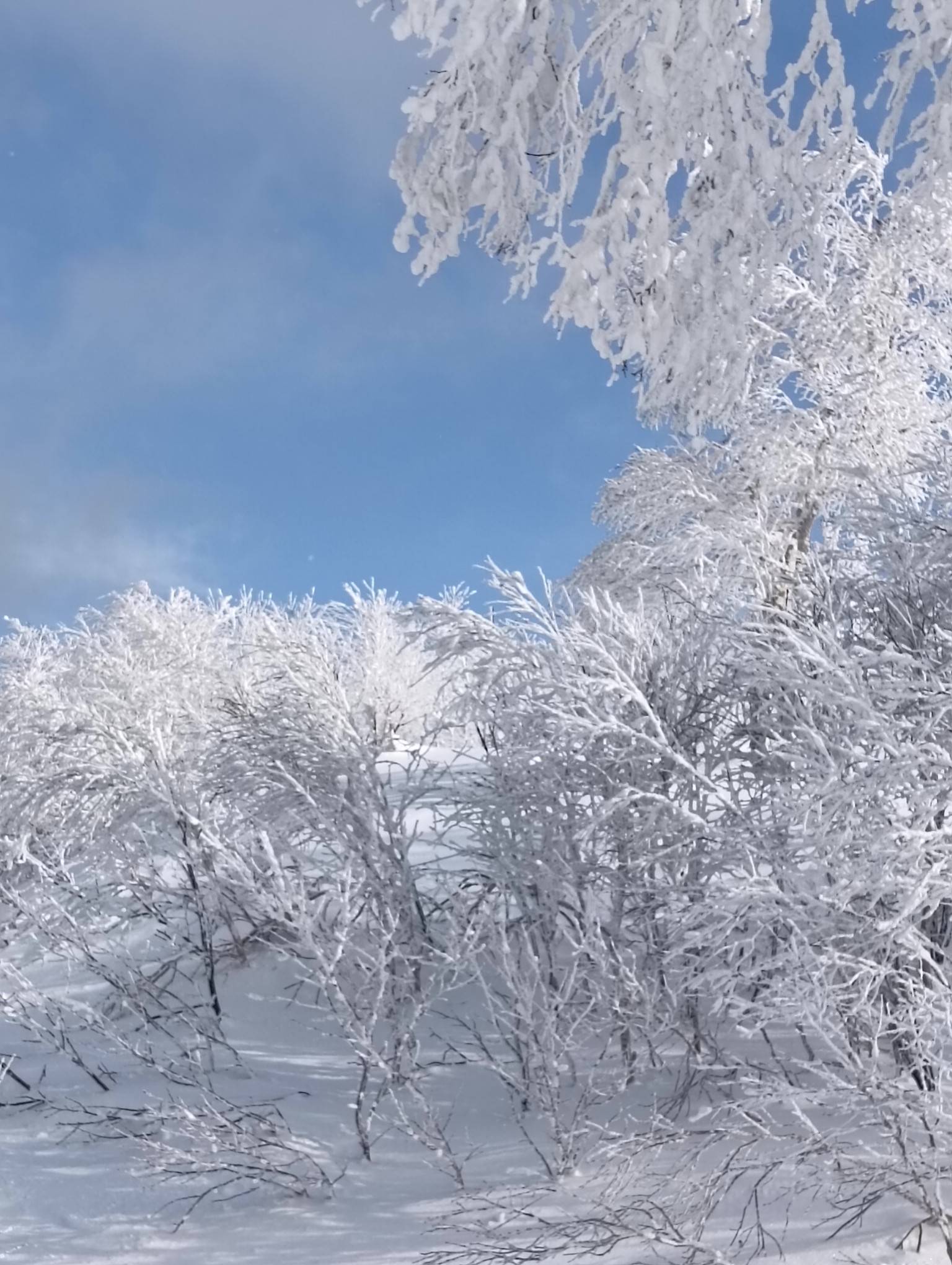 キロロスノーワールド