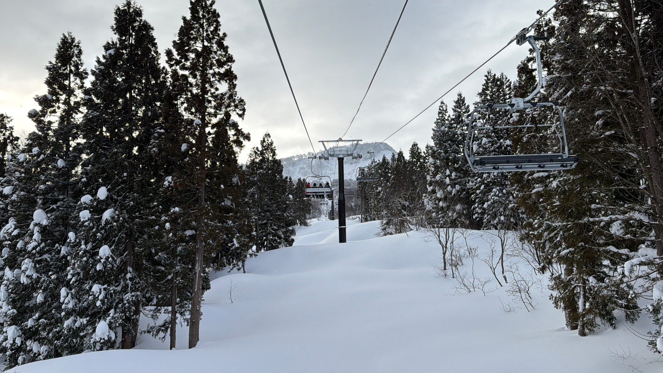 キューピットバレイ