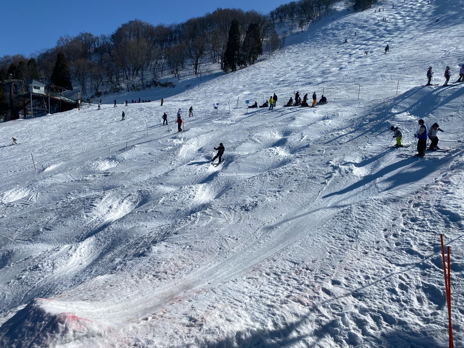 ハチ北高原スキー場