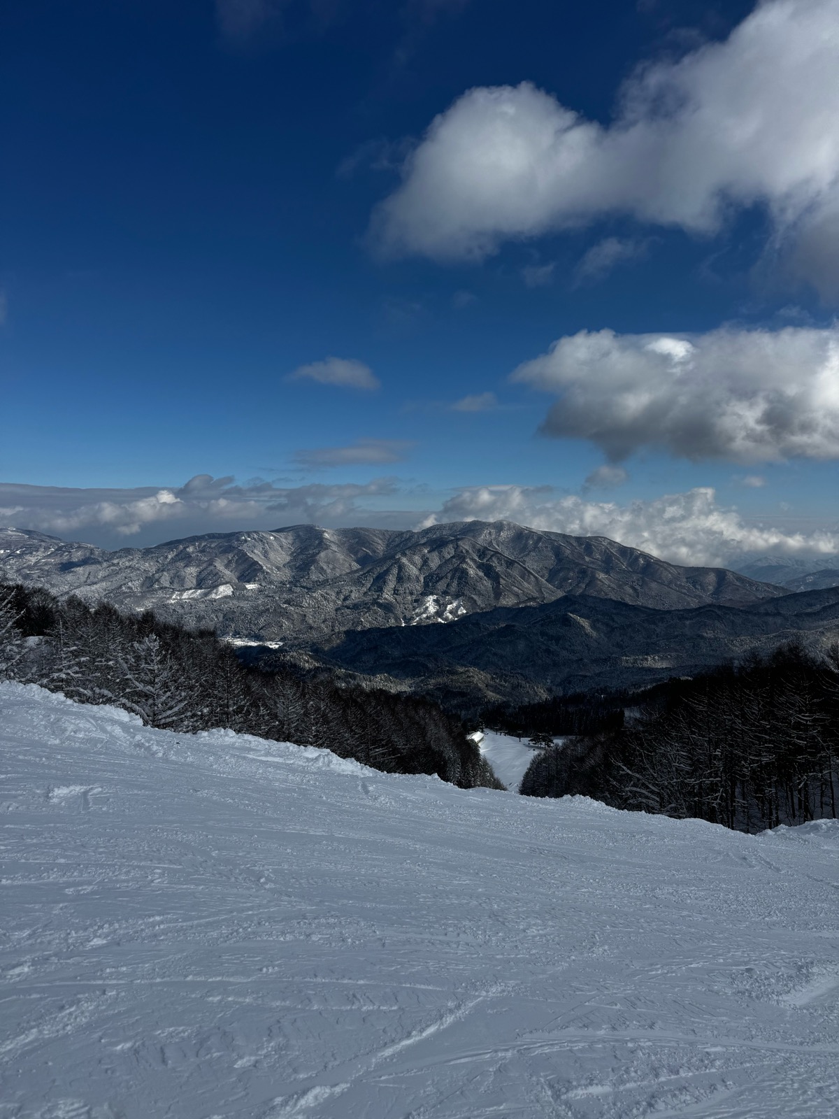 スカイバレイスキー場