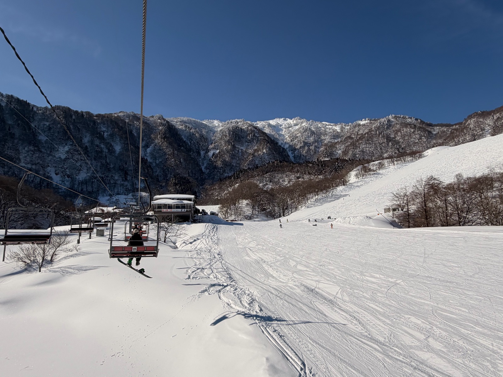 氷ノ山国際スキー場
