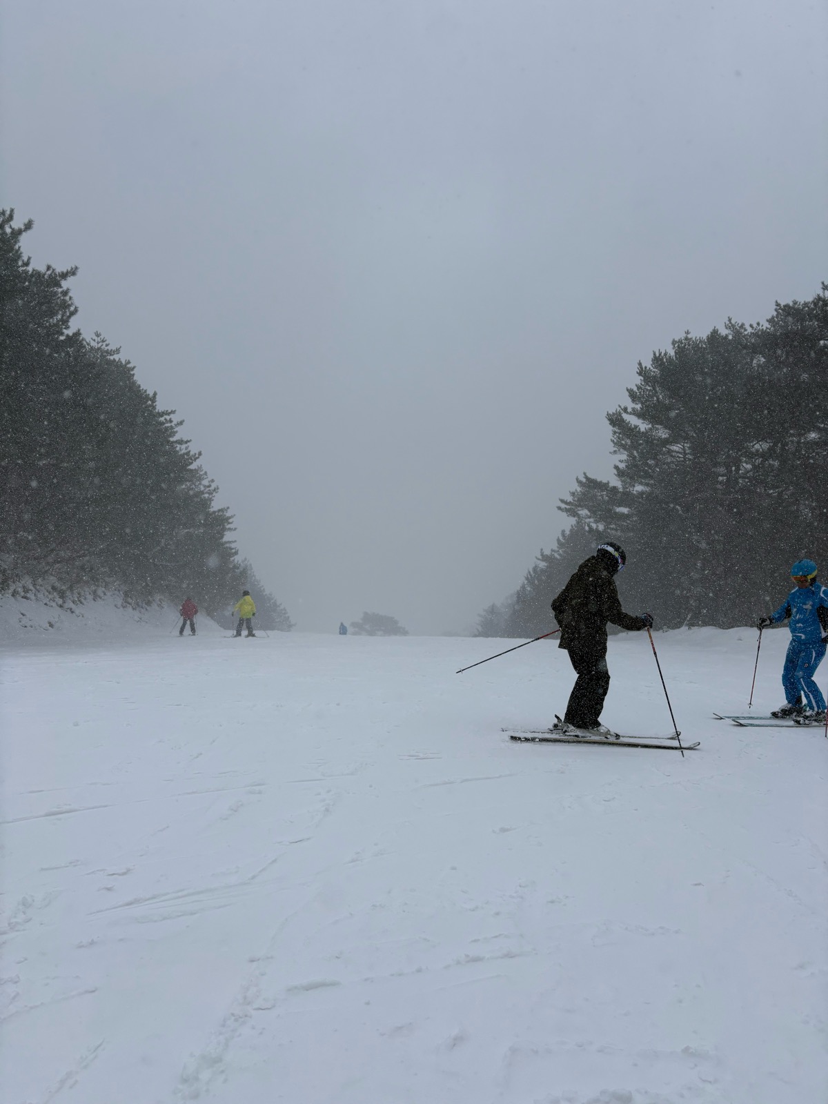 やわたハイランド191リゾート