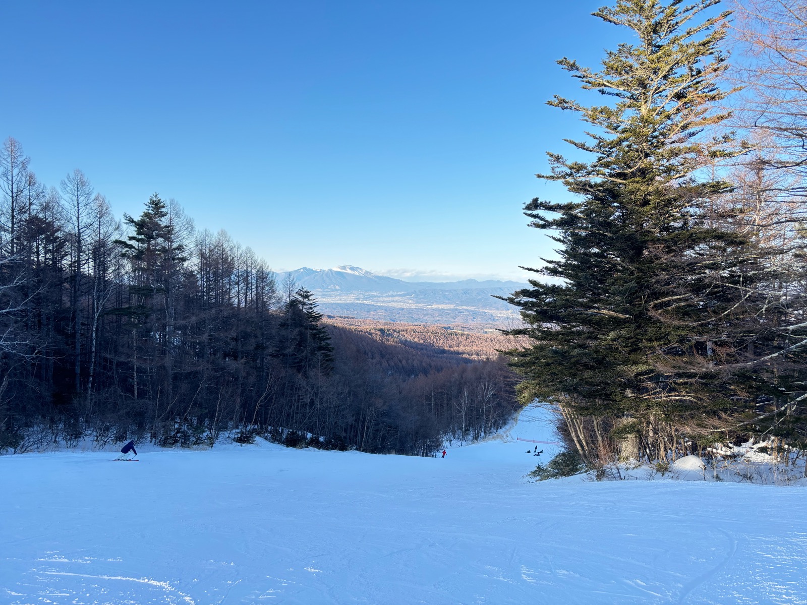 シャトレーゼスキーバレー小海