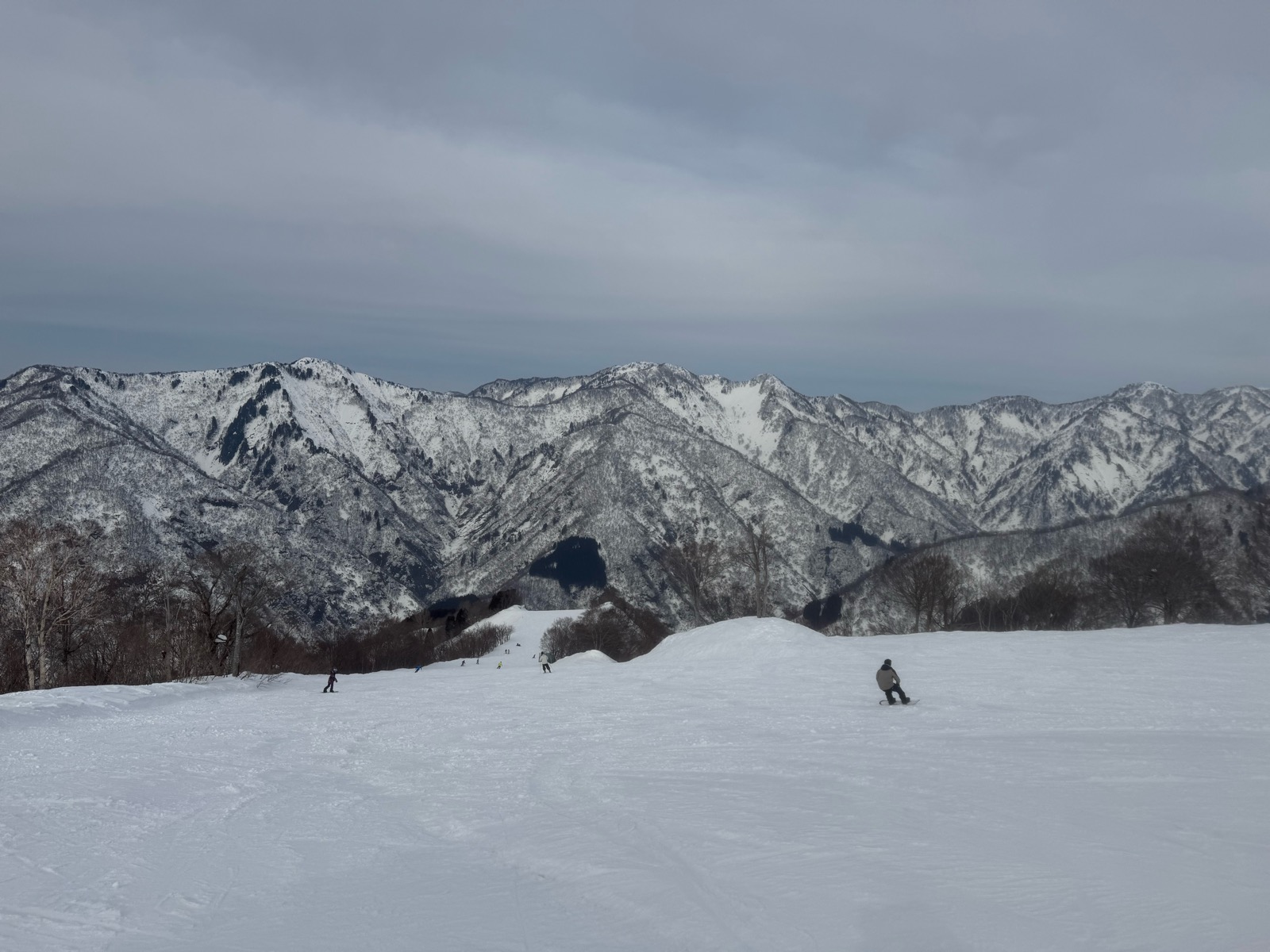 白山セイモアスキー場